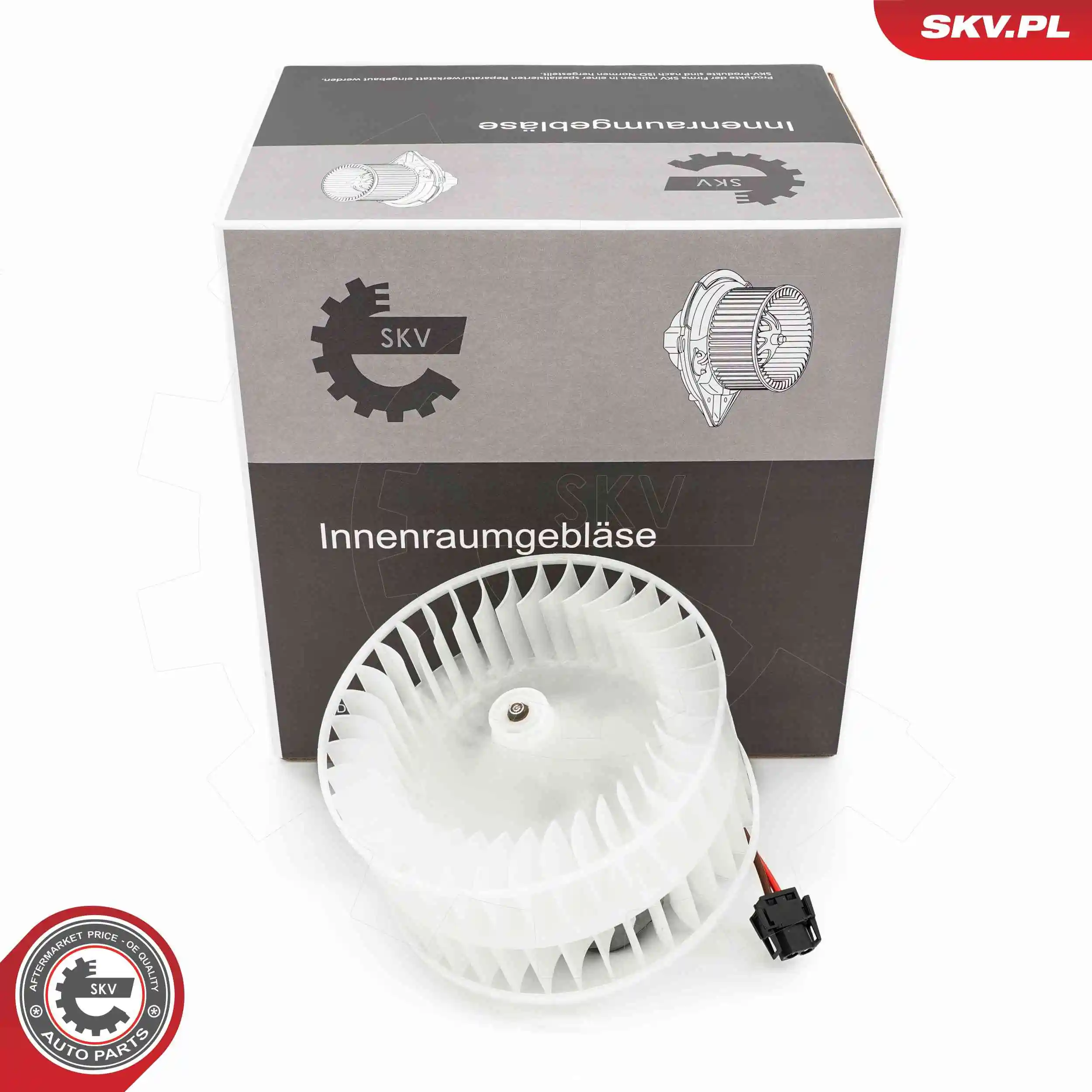 Interior Blower
